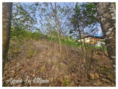 Terrain constructible - 1 059 m²