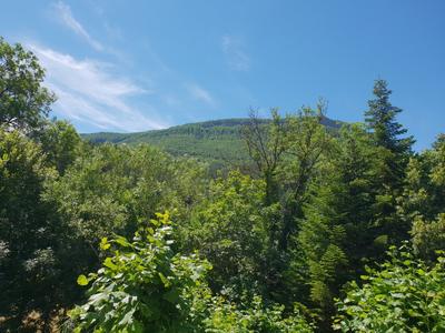 Maison - 140 m² - 7 pièces