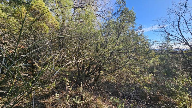 Terrain - 24 790 m²