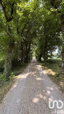 Maison - 590 m² - 20 pièces