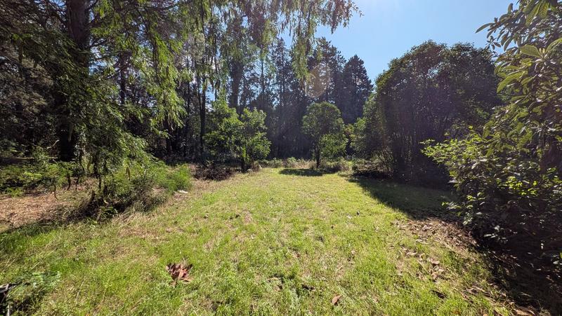 Maison traditionnelle - 210 m² - 7 pièces