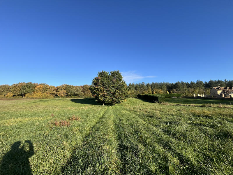 Terrain - 9 851 m²