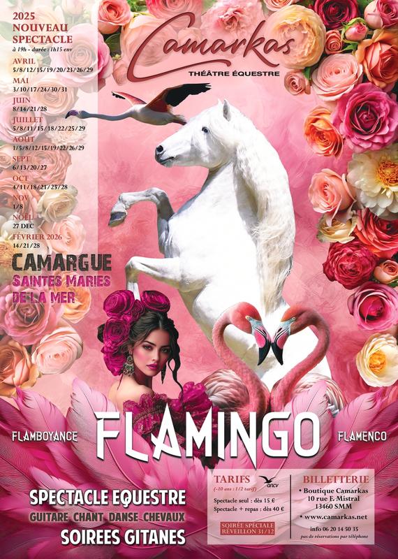 Spectacle &quot;Flamingo&quot; au Théâtre Equestre Camarkas