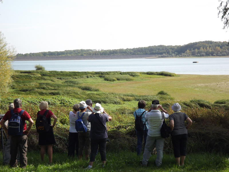 Escape Game : l'eau et la vie