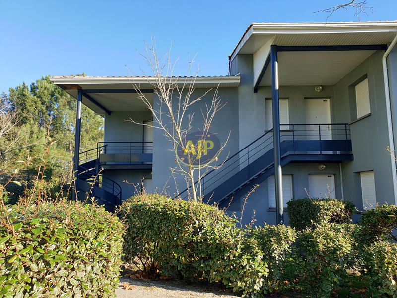 Appartement - 36 m² - 2 pièces