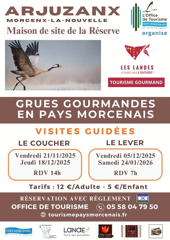 Annulé - les grues gourmandes en Pays Morcenais - le lever