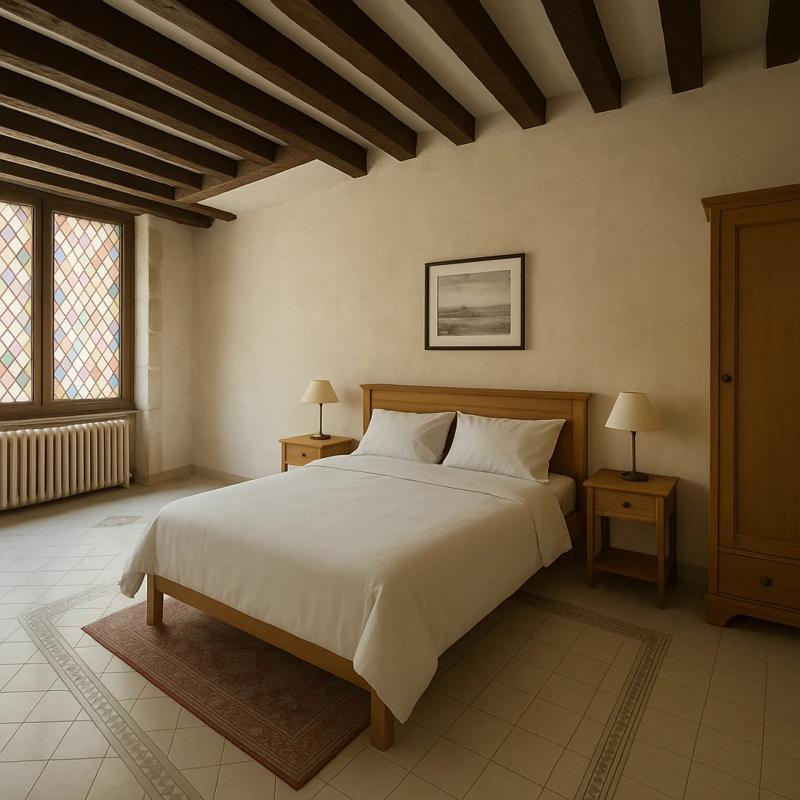 Château - 349 m² - 11 pièces