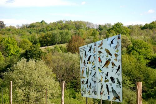 Parc Animalier de Saint Michel