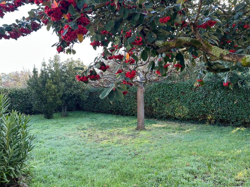 Maison - 65 m² - 3 pièces