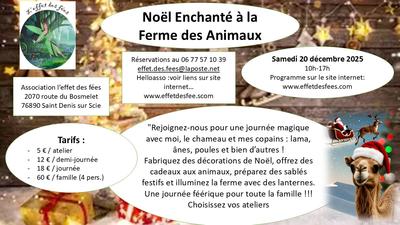 Noël enchanté à la Ferme des Animaux
