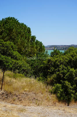 Terrain - 1 026 m²