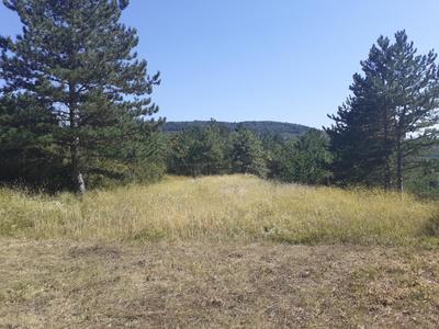 Terrain - 2 974 m²