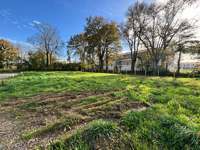 Terrain - 373 m²