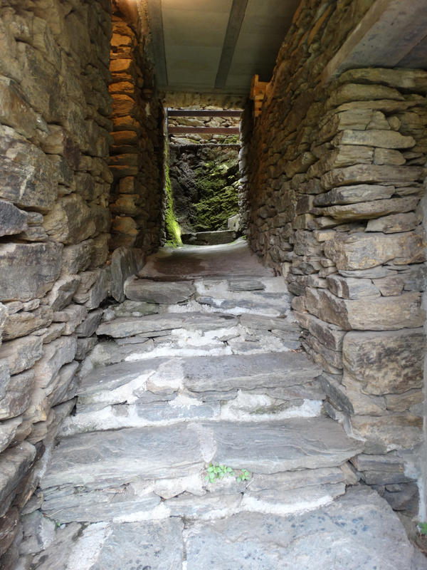 Mas - 300 m² - 15 pièces