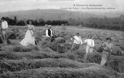 Les conférences d’histoire locale, la vie dans nos campagnes du Cotentin 5/5 : "Foins et moissons"