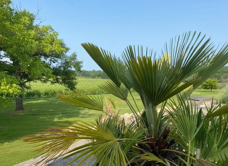 Maison en pierre - 350 m² - 8 pièces