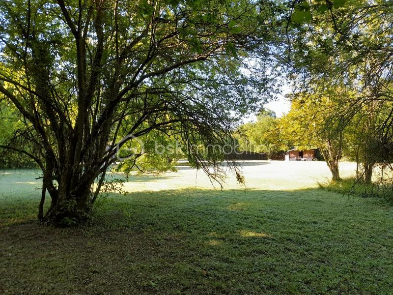 Terrain - 10 907 m²