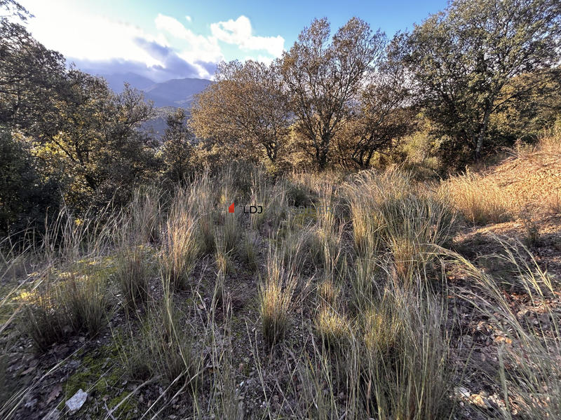 Terrain agricole - 646 m²