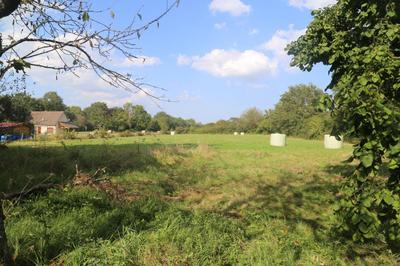 Maison - 200 m² - 7 pièces