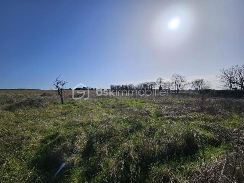 Maison ancienne - 130 m² - 6 pièces