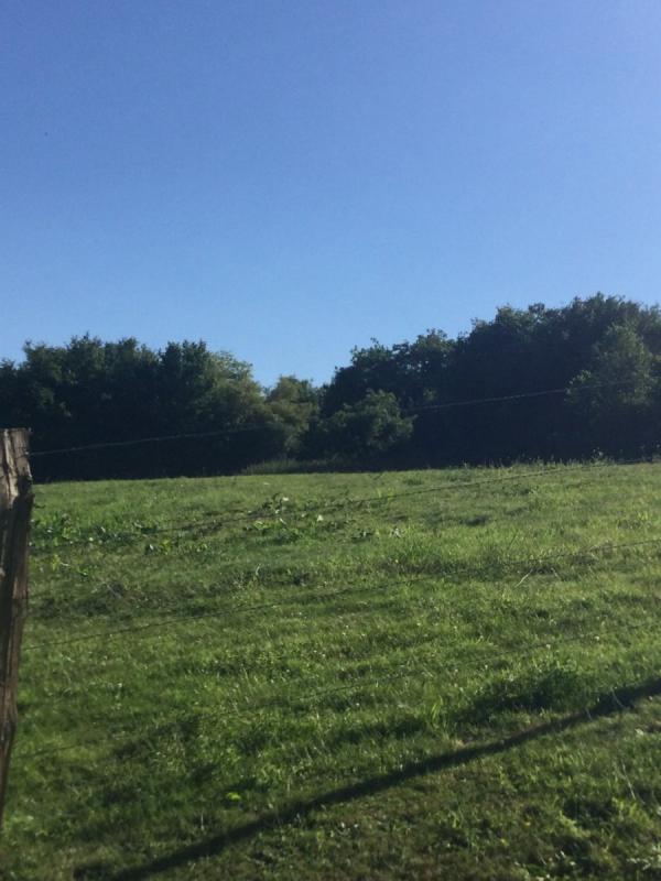 Propriété - 260 m² - 8 pièces