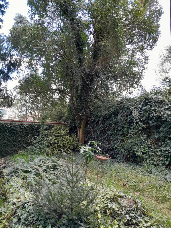 Maison - 101 m² - 3 pièces