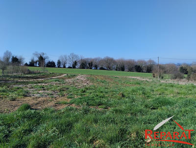 Terrain - 4 081 m²