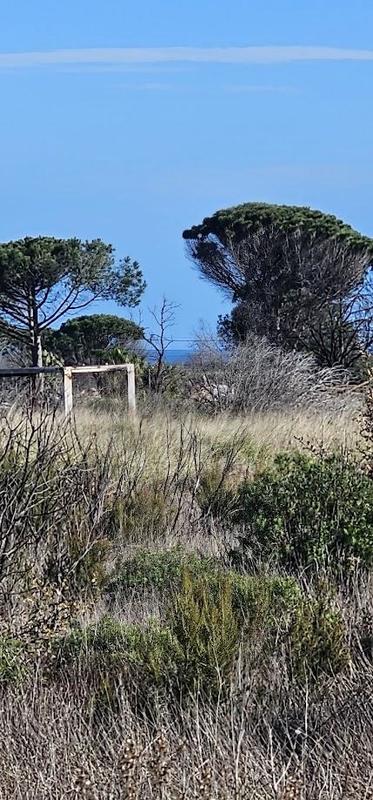 Terrain agricole - 4 272 m²