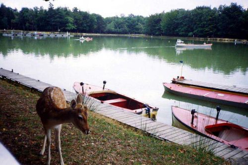 Parc Naturel Port Revel