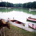 Parc Naturel Port Revel