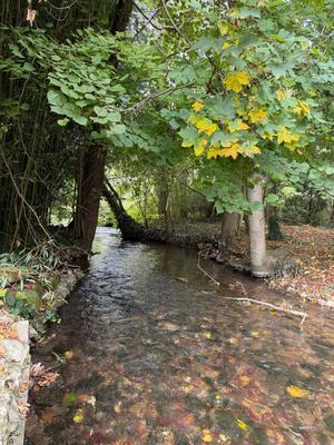 Maison ancienne - 107 m² - 10 pièces
