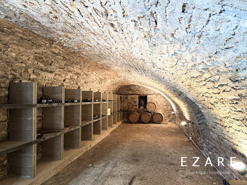 Maison ancienne - 500 m² - 9 pièces