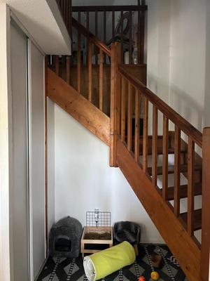 Appartement ancien - 37 m² - 1 pièce