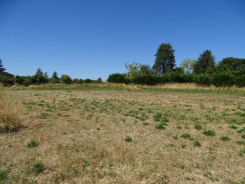 Terrain constructible - 1 999 m²