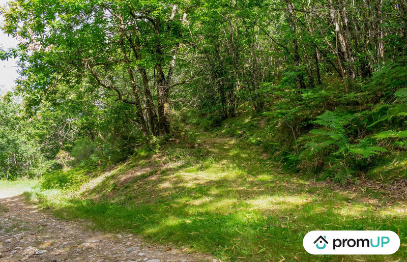 Terrain de loisirs - 5 300 m²