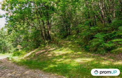 Terrain de loisirs - 5 300 m²