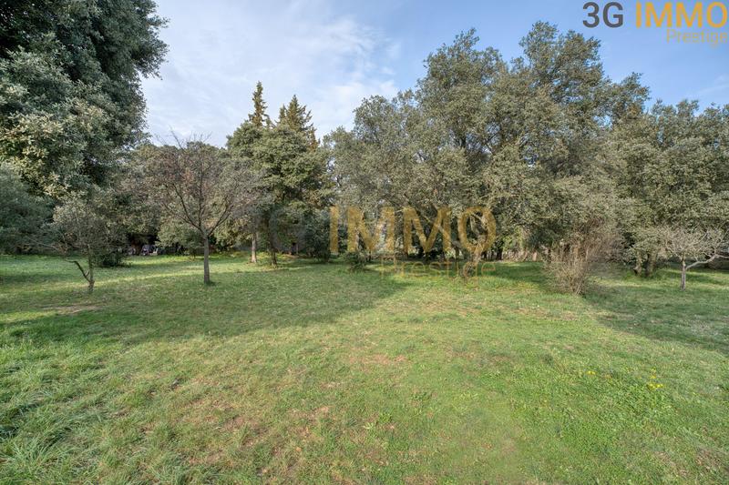 Mas - 280 m² - 9 pièces