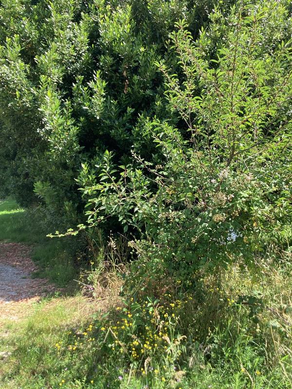 Maison - 115 m² - 6 pièces