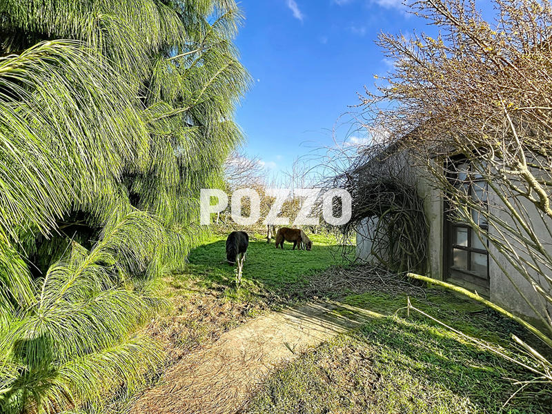 Maison de domaine équestre - 85 m² - 4 pièces