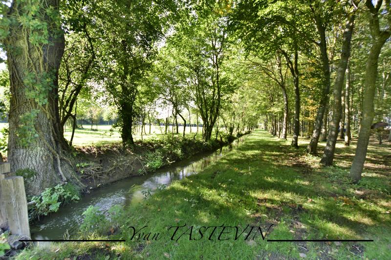 Propriété - 144 m² - 7 pièces