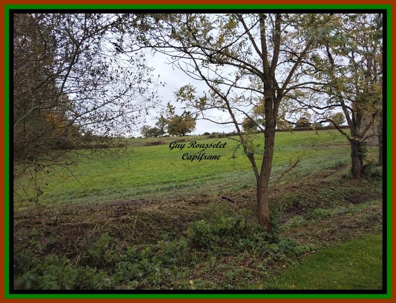 Propriété - 93 m² - 4 pièces