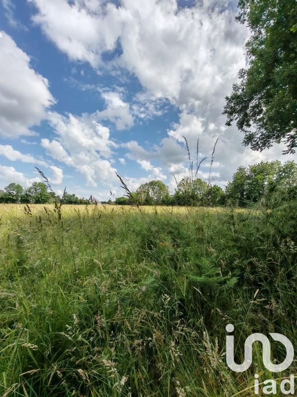 Terrain - 31 982 m²