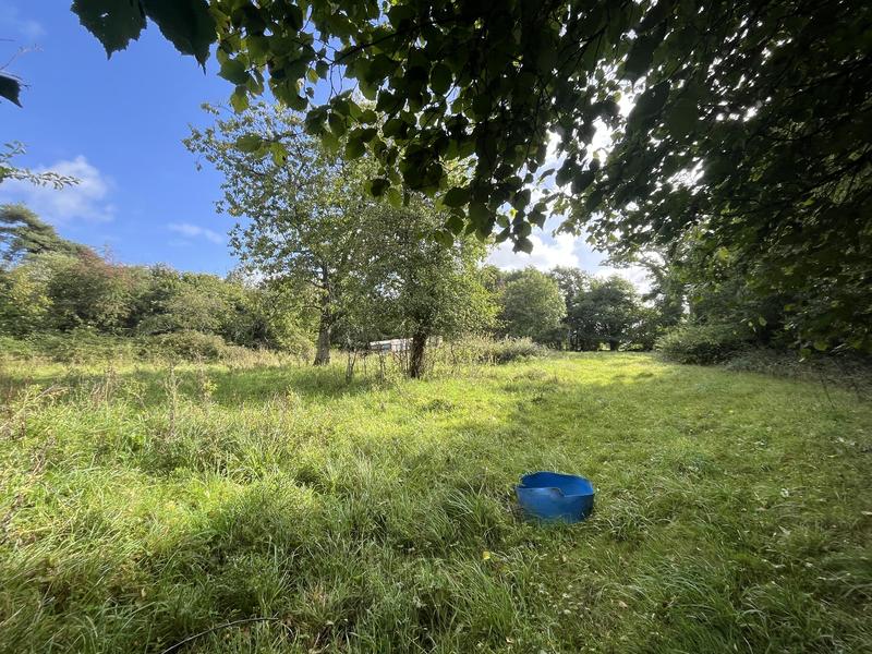 Maison - 55 m² - 3 pièces