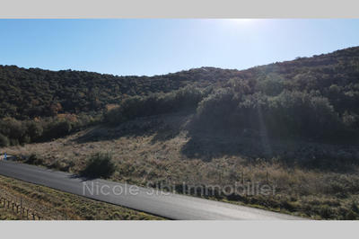 Terrain agricole - 3 050 m²