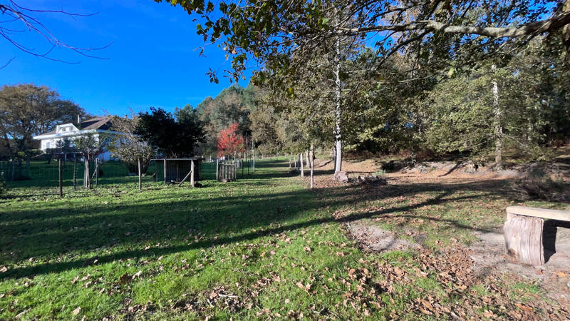 Maison - 220 m² - 7 pièces