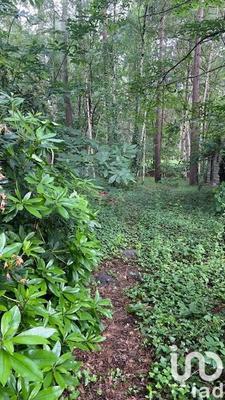 Maison - 141 m² - 5 pièces