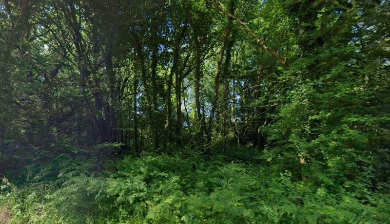 Terrain agricole - 3 887 m²