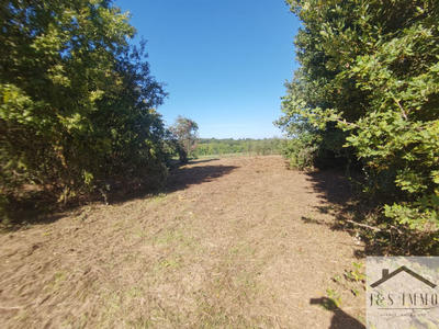 Maison en pierre - 158 m² - 4 pièces