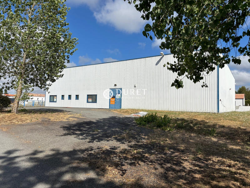 Local d'activités - 880 m²