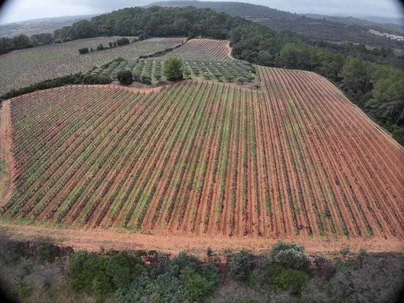 Terrain agricole - 8 540 m²